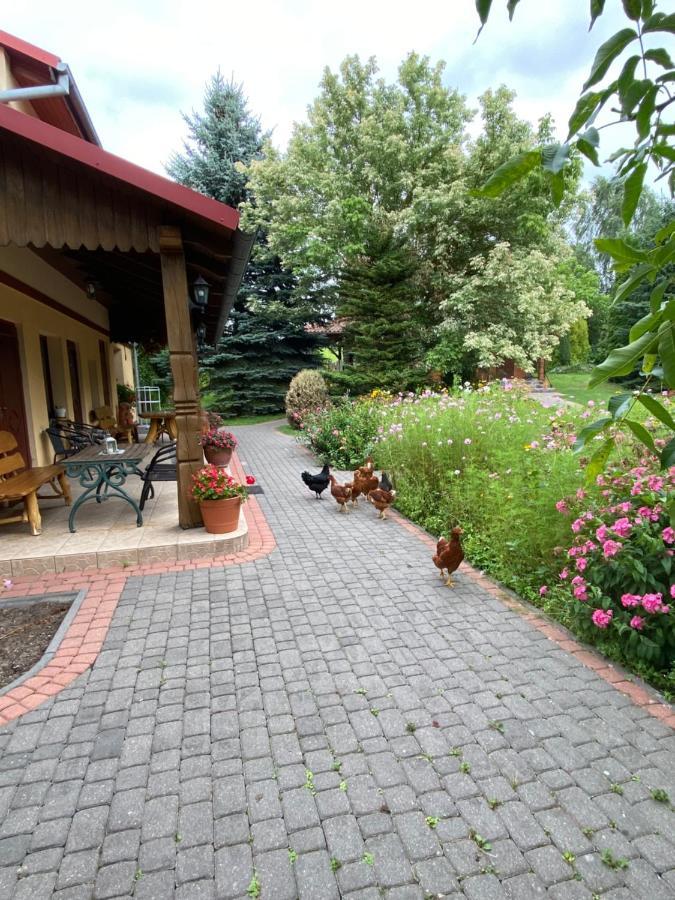 Agroturystyka Pod Podkowa Villa Mrągowo Exterior foto