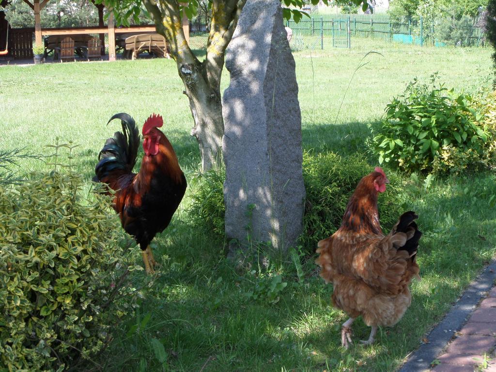 Agroturystyka Pod Podkowa Villa Mrągowo Exterior foto